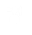 電動蝶閥